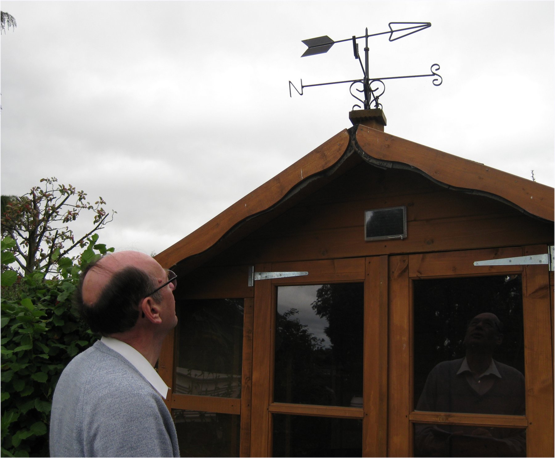 a person looking at a weather vane